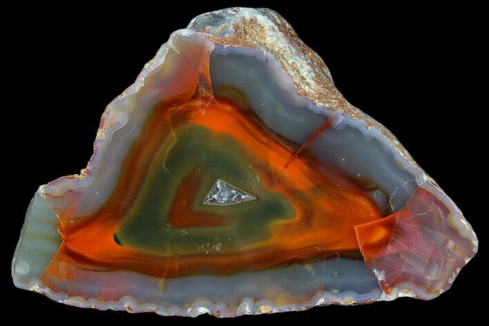 Beautiful Condor Agate From Argentina - Cut/Polished Face #79494